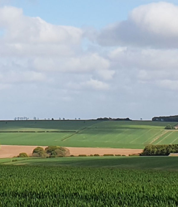 Around the Wolds